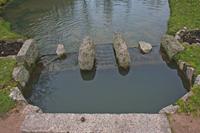Cjp_2013_01_29_095212.jpg