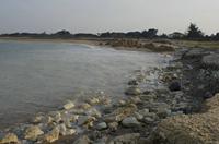 Cjp_2013_03_27_165230.jpg