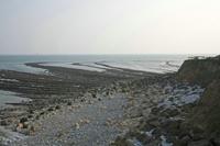 Cjp_2013_03_28_073810.jpg
