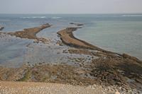 Cjp_2013_03_28_074100.jpg