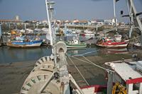 Cjp_2013_03_28_091140.jpg