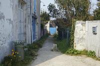 Cjp_2013_03_28_145700.jpg