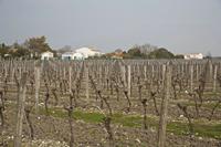Cjp_2013_03_28_152424.jpg