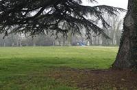 Cjp_2013_03_29_070608.jpg