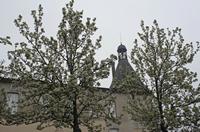 Cjp_2013_03_29_074604.jpg