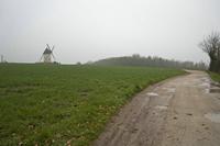 Cjp_2013_03_29_084744.jpg