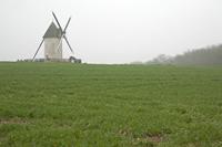 Cjp_2013_03_29_084754.jpg