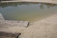 Cjp_2013_03_29_092814.jpg