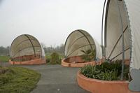 Cjp_2013_03_29_093554.jpg