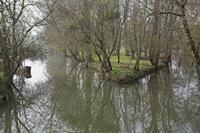 Cjp_2013_03_29_094644.jpg