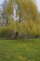 Cjp_2013_03_29_122448.jpg
