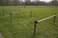 Cjp_2013_03_29_122818.jpg
