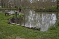 Cjp_2013_03_29_123500.jpg