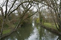 Cjp_2013_03_29_124040.jpg