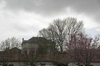 Cjp_2013_03_29_132032.jpg