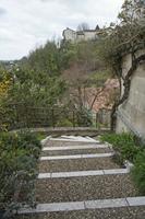 Cjp_2013_03_29_155008.jpg