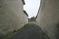 Cjp_2013_03_29_164558.jpg