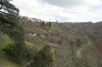 Cjp_2013_03_30_130032.jpg