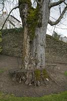 Cjp_2013_03_30_130126.jpg