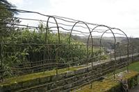 Cjp_2013_03_30_130144.jpg