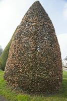Cjp_2013_03_31_081218.jpg