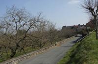 Cjp_2013_03_31_133048.jpg
