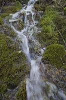 Cjp_2013_03_31_142452.jpg