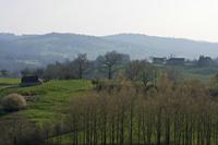 Cjp_2013_03_31_151908.jpg