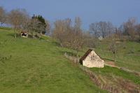 Cjp_2013_03_31_153928.jpg