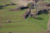 Cjp_2013_03_31_154654.jpg