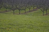 Cjp_2013_03_31_160058.jpg