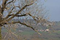 Cjp_2013_03_31_160420.jpg