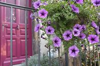 Cjp_2013_09_25_170936.jpg