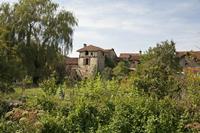 Cjp_2013_09_26_113946.jpg
