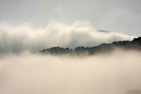 Cjp_2013_09_27_065944.jpg