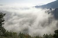 Cjp_2013_09_27_072922.jpg