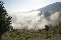 Cjp_2013_09_27_073030.jpg