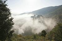 Cjp_2013_09_27_073116.jpg