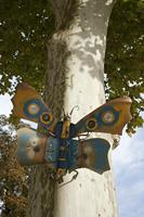 Cjp_2013_09_27_151932.jpg