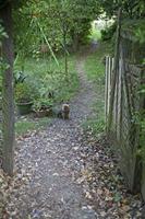 Cjp_2013_09_27_155740.jpg