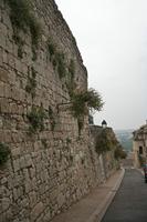 Cjp_2013_09_28_063916.jpg