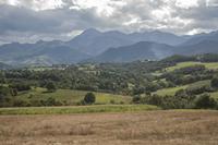 Cjp_2013_10_03_132424.jpg