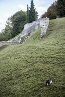 Cjp_2013_10_03_155956.jpg