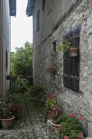 Cjp_2013_10_04_070534.jpg