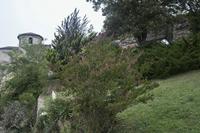 Cjp_2013_10_04_073302.jpg