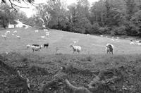 Cjp_2013_10_04_161649.jpg