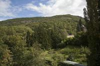 Cjp_2013_10_05_113942.jpg