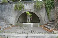 Cjp_2013_10_05_121200.jpg