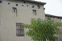Cjp_2013_10_12_071116.jpg