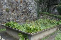 Cjp_2013_10_12_115234.jpg